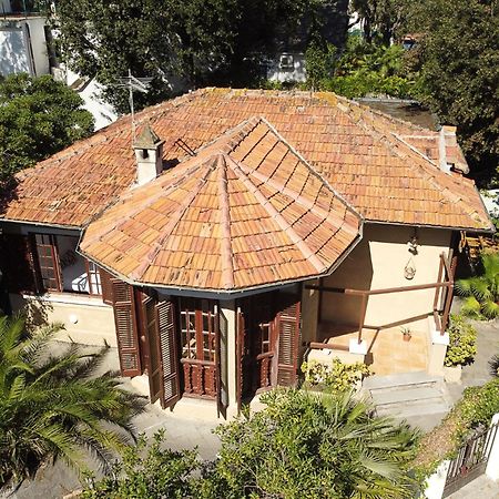 Exclusive Charming Villa - Free Parking 400 Mq Garden - Rome Airport - Roseto Villa Dream Fregenae Zewnętrze zdjęcie